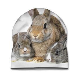 Шапка 3D с принтом Кролики в Белгороде, 100% полиэстер | универсальный размер, печать по всей поверхности изделия | animals | bunnies | cute | eared | family | fluffy | kids | mom | rabbits | животные | зайцы | кролики | малыши | мама | милые | пушистые | семья | ушастые