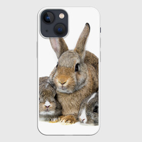 Чехол для iPhone 13 mini с принтом Кролики в Белгороде,  |  | animals | bunnies | cute | eared | family | fluffy | kids | mom | rabbits | животные | зайцы | кролики | малыши | мама | милые | пушистые | семья | ушастые