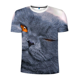 Мужская футболка 3D спортивная с принтом Кот в Белгороде, 100% полиэстер с улучшенными характеристиками | приталенный силуэт, круглая горловина, широкие плечи, сужается к линии бедра | британский | взгляд | глаза | животные | кот