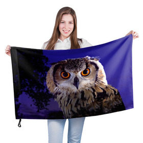 Флаг 3D с принтом Сова в ночи в Белгороде, 100% полиэстер | плотность ткани — 95 г/м2, размер — 67 х 109 см. Принт наносится с одной стороны | животные | ночь | птица | сова
