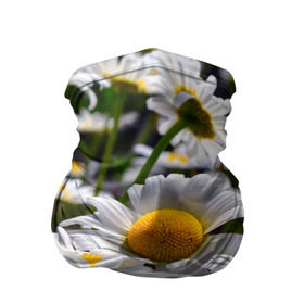 Бандана-труба 3D с принтом Ромашки в Белгороде, 100% полиэстер, ткань с особыми свойствами — Activecool | плотность 150‒180 г/м2; хорошо тянется, но сохраняет форму | желтая | лепесток | природа | ромашка | цветок | яркая