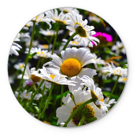 Коврик круглый с принтом Ромашки в Белгороде, резина и полиэстер | круглая форма, изображение наносится на всю лицевую часть | желтая | лепесток | природа | ромашка | цветок | яркая