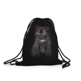 Рюкзак-мешок 3D с принтом Чёрный котёнок в Белгороде, 100% полиэстер | плотность ткани — 200 г/м2, размер — 35 х 45 см; лямки — толстые шнурки, застежка на шнуровке, без карманов и подкладки | киска | кот | кошка