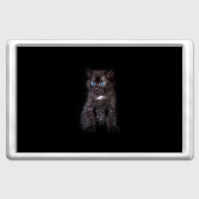 Магнит 45*70 с принтом Чёрный котёнок в Белгороде, Пластик | Размер: 78*52 мм; Размер печати: 70*45 | Тематика изображения на принте: киска | кот | кошка