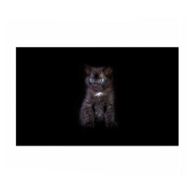 Бумага для упаковки 3D с принтом Чёрный котёнок в Белгороде, пластик и полированная сталь | круглая форма, металлическое крепление в виде кольца | киска | кот | кошка
