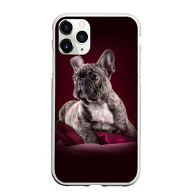 Чехол для iPhone 11 Pro матовый с принтом Бульдог в Белгороде, Силикон |  | бульдог | кутёнок | прикольные картинки | собака | щенок