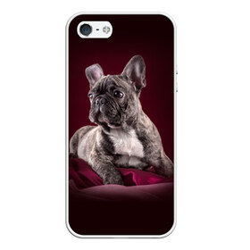 Чехол для iPhone 5/5S матовый с принтом Бульдог в Белгороде, Силикон | Область печати: задняя сторона чехла, без боковых панелей | бульдог | кутёнок | прикольные картинки | собака | щенок
