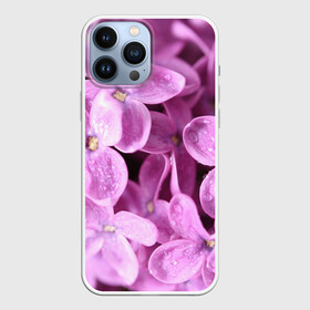 Чехол для iPhone 13 Pro Max с принтом Цветы сирени в Белгороде,  |  | Тематика изображения на принте: девушкам | сирень | цветы