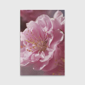 Обложка для паспорта матовая кожа с принтом Розовые цветы в Белгороде, натуральная матовая кожа | размер 19,3 х 13,7 см; прозрачные пластиковые крепления | девушкам | розы | цветочки | цветы
