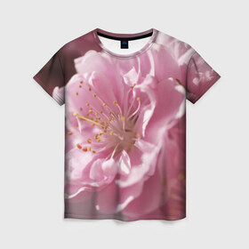 Женская футболка 3D с принтом Розовые цветы в Белгороде, 100% полиэфир ( синтетическое хлопкоподобное полотно) | прямой крой, круглый вырез горловины, длина до линии бедер | Тематика изображения на принте: девушкам | розы | цветочки | цветы