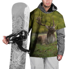 Накидка на куртку 3D с принтом Олень в Белгороде, 100% полиэстер |  | животные | лес | охота | природа | туризм