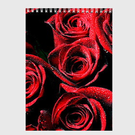 Скетчбук с принтом Розы в Белгороде, 100% бумага
 | 48 листов, плотность листов — 100 г/м2, плотность картонной обложки — 250 г/м2. Листы скреплены сверху удобной пружинной спиралью | алый | красный | роса | фото | цветы