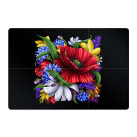Магнитный плакат 3Х2 с принтом Композиция цветов в Белгороде, Полимерный материал с магнитным слоем | 6 деталей размером 9*9 см | Тематика изображения на принте: композиция | мак | ромашки | цветы