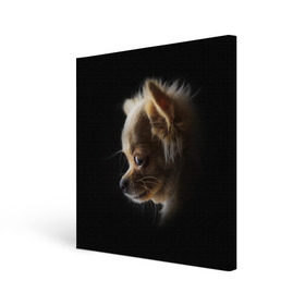 Холст квадратный с принтом Чихуахуа в Белгороде, 100% ПВХ |  | Тематика изображения на принте: голова животного | прикольные картинки | собака | чихуахуа | щенок