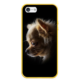 Чехол для iPhone 5/5S матовый с принтом Чихуахуа в Белгороде, Силикон | Область печати: задняя сторона чехла, без боковых панелей | голова животного | прикольные картинки | собака | чихуахуа | щенок