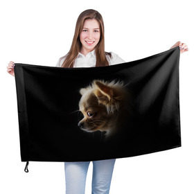 Флаг 3D с принтом Чихуахуа в Белгороде, 100% полиэстер | плотность ткани — 95 г/м2, размер — 67 х 109 см. Принт наносится с одной стороны | голова животного | прикольные картинки | собака | чихуахуа | щенок