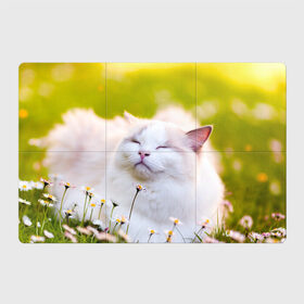 Магнитный плакат 3Х2 с принтом Белая киса в Белгороде, Полимерный материал с магнитным слоем | 6 деталей размером 9*9 см | cat | киса | котенок | кошка | лето | ромашки | солнце