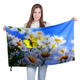 Флаг 3D с принтом Ромашки и бабочка в Белгороде, 100% полиэстер | плотность ткани — 95 г/м2, размер — 67 х 109 см. Принт наносится с одной стороны | бабочки | лето | природа | ромашки | цветы