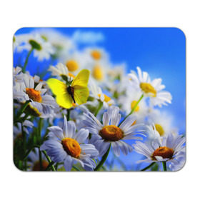 Коврик прямоугольный с принтом Ромашки и бабочка в Белгороде, натуральный каучук | размер 230 х 185 мм; запечатка лицевой стороны | Тематика изображения на принте: бабочки | лето | природа | ромашки | цветы