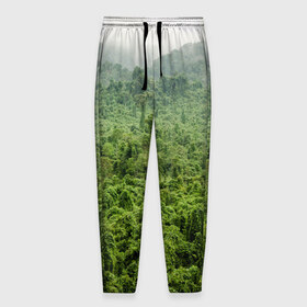 Мужские брюки 3D с принтом Потрясающие тропики в Белгороде, 100% полиэстер | манжеты по низу, эластичный пояс регулируется шнурком, по бокам два кармана без застежек, внутренняя часть кармана из мелкой сетки | деревья | джунгли | зелень | красиво | лес | пейзаж | фото