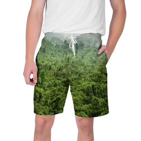 Мужские шорты 3D с принтом Потрясающие тропики в Белгороде,  полиэстер 100% | прямой крой, два кармана без застежек по бокам. Мягкая трикотажная резинка на поясе, внутри которой широкие завязки. Длина чуть выше колен | деревья | джунгли | зелень | красиво | лес | пейзаж | фото