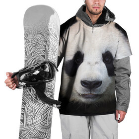 Накидка на куртку 3D с принтом Милая панда в Белгороде, 100% полиэстер |  | Тематика изображения на принте: animal | hunny | panda | животные | классная | милая | милота | панда | фото | хорошая