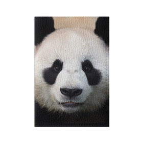 Обложка для паспорта матовая кожа с принтом Милая панда в Белгороде, натуральная матовая кожа | размер 19,3 х 13,7 см; прозрачные пластиковые крепления | animal | hunny | panda | животные | классная | милая | милота | панда | фото | хорошая