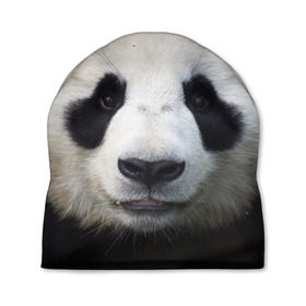 Шапка 3D с принтом Милая панда в Белгороде, 100% полиэстер | универсальный размер, печать по всей поверхности изделия | animal | hunny | panda | животные | классная | милая | милота | панда | фото | хорошая