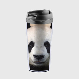 Термокружка-непроливайка с принтом Милая панда в Белгороде, внутренняя часть — пищевой пластик, наружная часть — прозрачный пластик, между ними — полиграфическая вставка с рисунком | объем — 350 мл, герметичная крышка | Тематика изображения на принте: animal | hunny | panda | животные | классная | милая | милота | панда | фото | хорошая