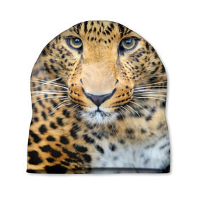 Шапка 3D с принтом Хищные животные в Белгороде, 100% полиэстер | универсальный размер, печать по всей поверхности изделия | леопард | пятнистый | хищник