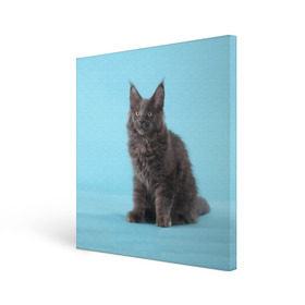Холст квадратный с принтом Кот мейн кун в Белгороде, 100% ПВХ |  | котенок | мейнкун