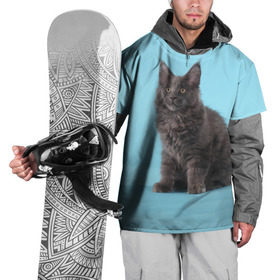 Накидка на куртку 3D с принтом Кот мейн кун в Белгороде, 100% полиэстер |  | котенок | мейнкун