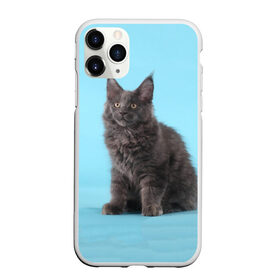 Чехол для iPhone 11 Pro матовый с принтом Кот мейн кун в Белгороде, Силикон |  | котенок | мейнкун