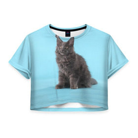 Женская футболка 3D укороченная с принтом Кот мейн кун в Белгороде, 100% полиэстер | круглая горловина, длина футболки до линии талии, рукава с отворотами | котенок | мейнкун