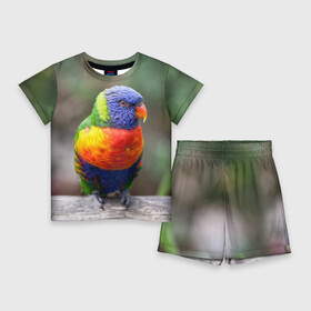 Детский костюм с шортами 3D с принтом Попугай в Белгороде,  |  | Тематика изображения на принте: пернатые | попугай | прикольные картинки | природа | птица