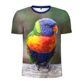 Мужская футболка 3D спортивная с принтом Попугай в Белгороде, 100% полиэстер с улучшенными характеристиками | приталенный силуэт, круглая горловина, широкие плечи, сужается к линии бедра | пернатые | попугай | прикольные картинки | природа | птица