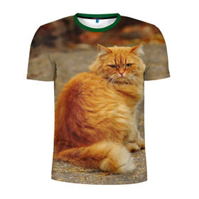 Мужская футболка 3D спортивная с принтом Рыжий кот в Белгороде, 100% полиэстер с улучшенными характеристиками | приталенный силуэт, круглая горловина, широкие плечи, сужается к линии бедра | Тематика изображения на принте: коты | кошки