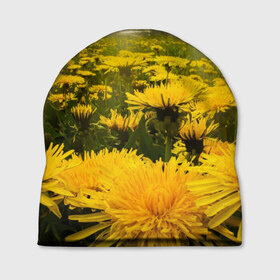 Шапка 3D с принтом Цветочная поляна в Белгороде, 100% полиэстер | универсальный размер, печать по всей поверхности изделия | лес | поляна | прикольные картинки | цветочки | цветы
