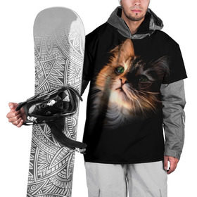 Накидка на куртку 3D с принтом Зеленоглазый котёнок в Белгороде, 100% полиэстер |  | Тематика изображения на принте: кот | кошка | прикольные картинки