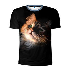 Мужская футболка 3D спортивная с принтом Зеленоглазый котёнок в Белгороде, 100% полиэстер с улучшенными характеристиками | приталенный силуэт, круглая горловина, широкие плечи, сужается к линии бедра | кот | кошка | прикольные картинки