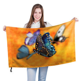 Флаг 3D с принтом Рисунок бабочка в Белгороде, 100% полиэстер | плотность ткани — 95 г/м2, размер — 67 х 109 см. Принт наносится с одной стороны | бабочка