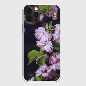 Чехол для iPhone 12 Pro Max с принтом Винтажные розы в Белгороде, Силикон |  | Тематика изображения на принте: vintage | винтаж | зелень | лето | пионы | розы | узоры | цветы