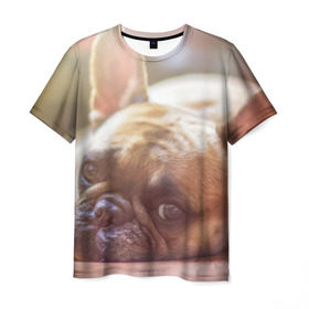 Мужская футболка 3D с принтом французский бульдог в Белгороде, 100% полиэфир | прямой крой, круглый вырез горловины, длина до линии бедер | dog | бульдог | друг | собака | язык