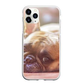 Чехол для iPhone 11 Pro матовый с принтом французский бульдог в Белгороде, Силикон |  | dog | бульдог | друг | собака | язык