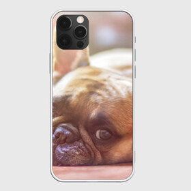 Чехол для iPhone 12 Pro Max с принтом французский бульдог в Белгороде, Силикон |  | Тематика изображения на принте: dog | бульдог | друг | собака | язык