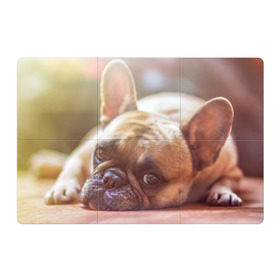 Магнитный плакат 3Х2 с принтом французский бульдог в Белгороде, Полимерный материал с магнитным слоем | 6 деталей размером 9*9 см | Тематика изображения на принте: dog | бульдог | друг | собака | язык