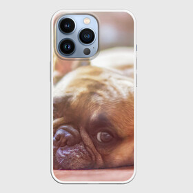 Чехол для iPhone 13 Pro с принтом французский бульдог в Белгороде,  |  | Тематика изображения на принте: dog | бульдог | друг | собака | язык