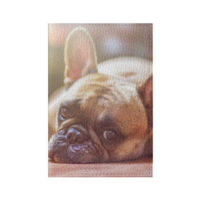 Обложка для паспорта матовая кожа с принтом французский бульдог в Белгороде, натуральная матовая кожа | размер 19,3 х 13,7 см; прозрачные пластиковые крепления | dog | бульдог | друг | собака | язык