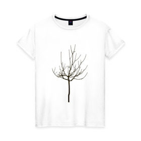 Женская футболка хлопок с принтом Веточка дерева в Белгороде, 100% хлопок | прямой крой, круглый вырез горловины, длина до линии бедер, слегка спущенное плечо | ветка | дерево | класс | корки | круто | природа