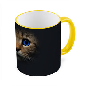 Кружка 3D с принтом Кот с синими глазами в Белгороде, керамика | ёмкость 330 мл | Тематика изображения на принте: кот | котенок | кошка | мордочка